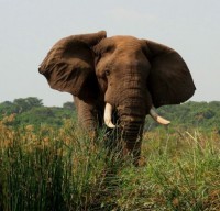 /album/fotos-afrika/img-4363-small-jpg/